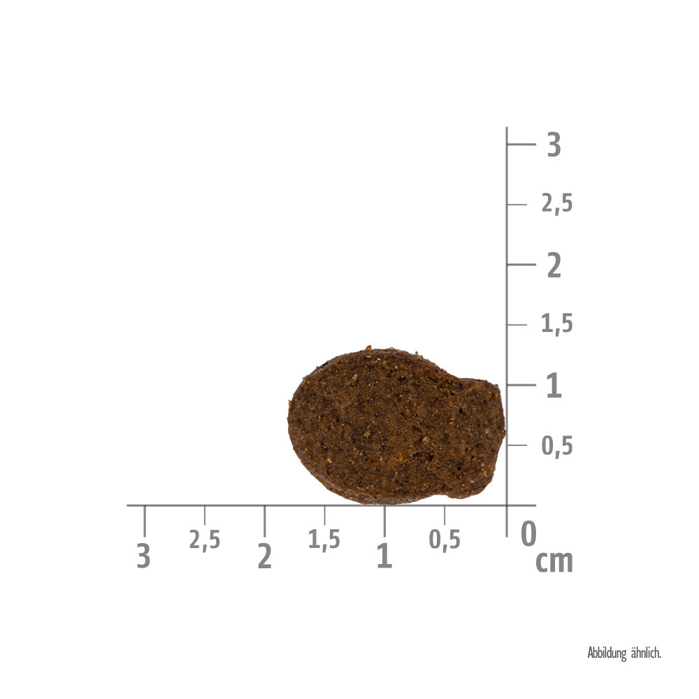 Bild von der Größe vom Snack des Produktes: Brit Care Cat Premium Crunchy Snack für Katzen Herring - Hering mit Sanddorn