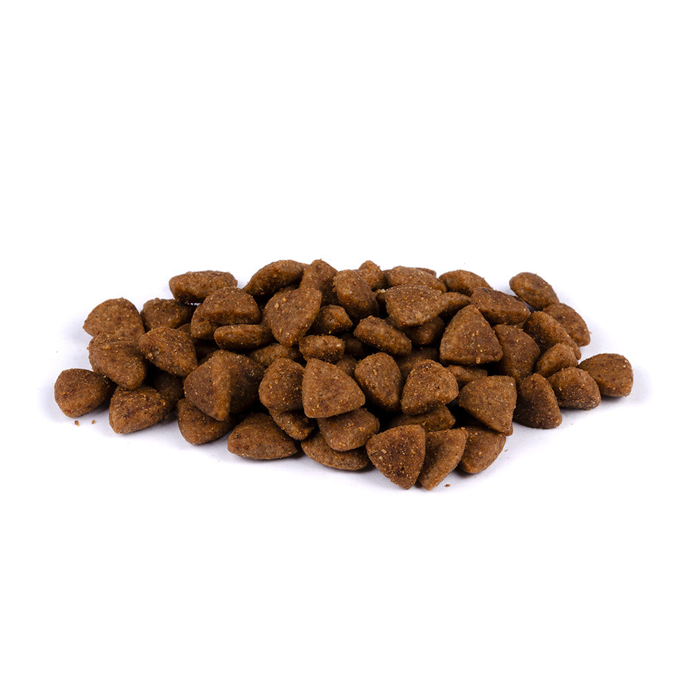 Bild von mehreren Kroketten des Produktes: Brit Care Cat Premium Trockenfutter für aktive adulte Katzen Activity Support - Fresh Chicken & Turkey Huhn und Truthahn