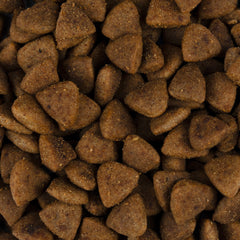 Vorschaubild von Trockenfutter - Adult - Lachs und Huhn - Healthy & Shiny Coat