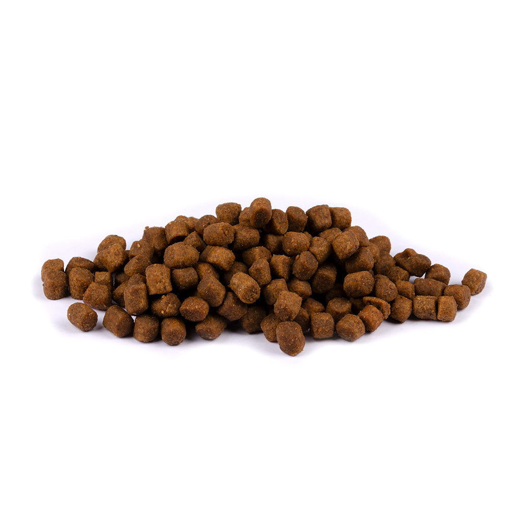 Bild von mehreren Kroketten des Produktes: Brit Care Cat Premium Trockenfutter für Kätzchen Kitten - Healthy Growth & Development - Fresh Chicken & Turkey Huhn und Truthahn