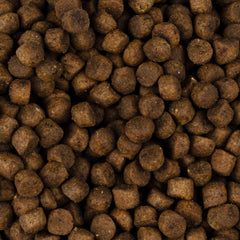 Vorschaubild von Trockenfutter - Kitten - Lachs - Digestion & Strong Immunity