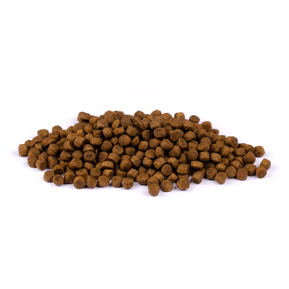 Bild von mehreren Kroketten des Produktes: Brit Care Cat Premium Trockenfutter Monoprotein für Kätzchen Kitten - Gentle Digestion & Strong Immunity - Fresh Salmon Lachs