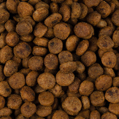 Vorschaubild von Trockenfutter - Adult sterilisiert - Schwein - Immunity Support