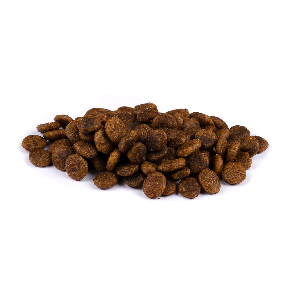 Bild von mehreren Kroketten des Produktes: Brit Care Cat Premium Trockenfutter für adulte Katzen Sensitive Healthy Digestion & Delicate Taste - Fresh Turkey & Salmon Truthahn und Lachs
