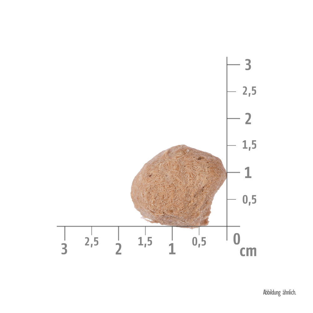 Bild von der Größe vom gefriergetrockneten Topping des Produktes: Brit Care Dog Mini Raw Delights Premium Trockenfutter mit gefriergetrocknetem Topping für adulte Hunde kleiner Rassen Beef Rind