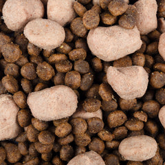 Vorschaubild von Trockenfutter mit gefriergetrocknetem Topping - Adult Mini - Truthahn mit Shrimps