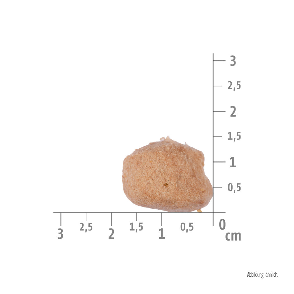 Bild von der Größe vom gefriergetrockneten Topping des Produktes: Brit Care Dog Mini Raw Delights Premium Trockenfutter mit gefriergetrocknetem Topping für adulte Hunde kleiner Rassen Turkey with Shrimps Truthahn mit Krabbe