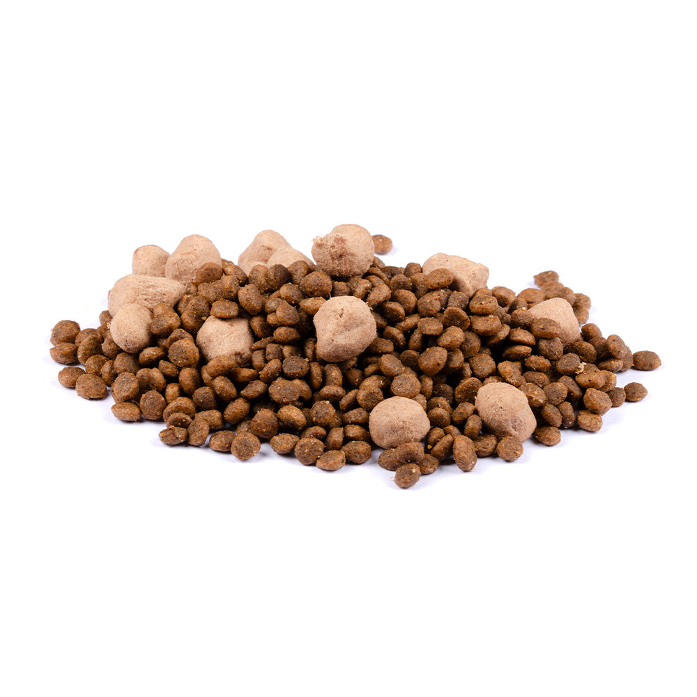 Bild von mehreren Kroketten des Produktes: Brit Care Dog Mini Raw Delights Premium Trockenfutter mit gefriergetrocknetem Topping für adulte Hunde kleiner Rassen Turkey with Shrimps Truthahn mit Krabbe