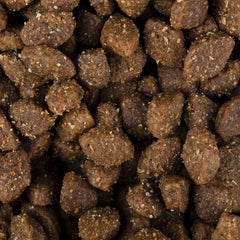 Vorschaubild von Trockenfutter - Adult aktiv - Ente