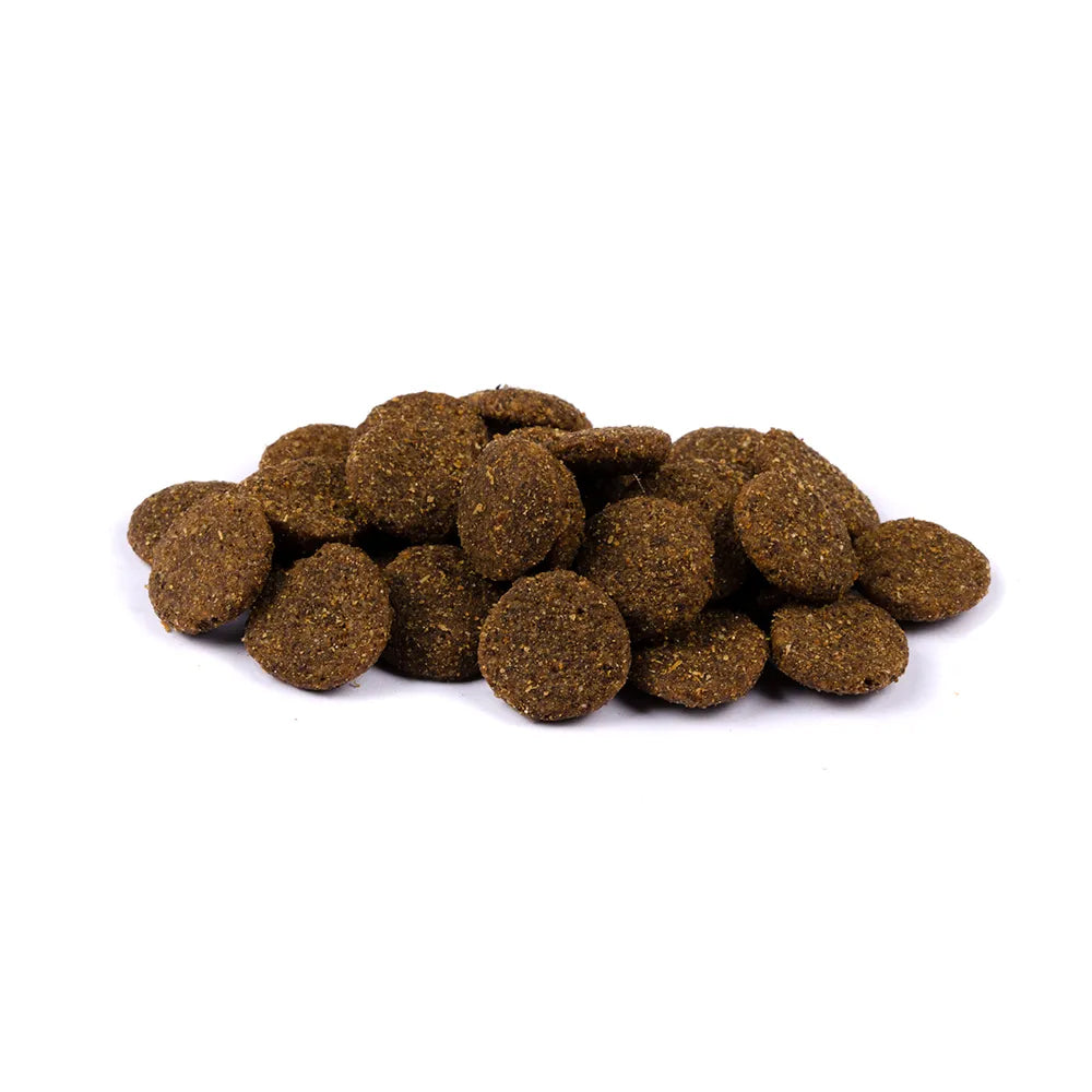 Bild von mehreren Kroketten des Produktes: Brit Fresh Premium Trockenfutter für adulte Hunde großer Rassen Muscles & Joints Large Breed - Fish with Pumpkin Fisch und Kürbis