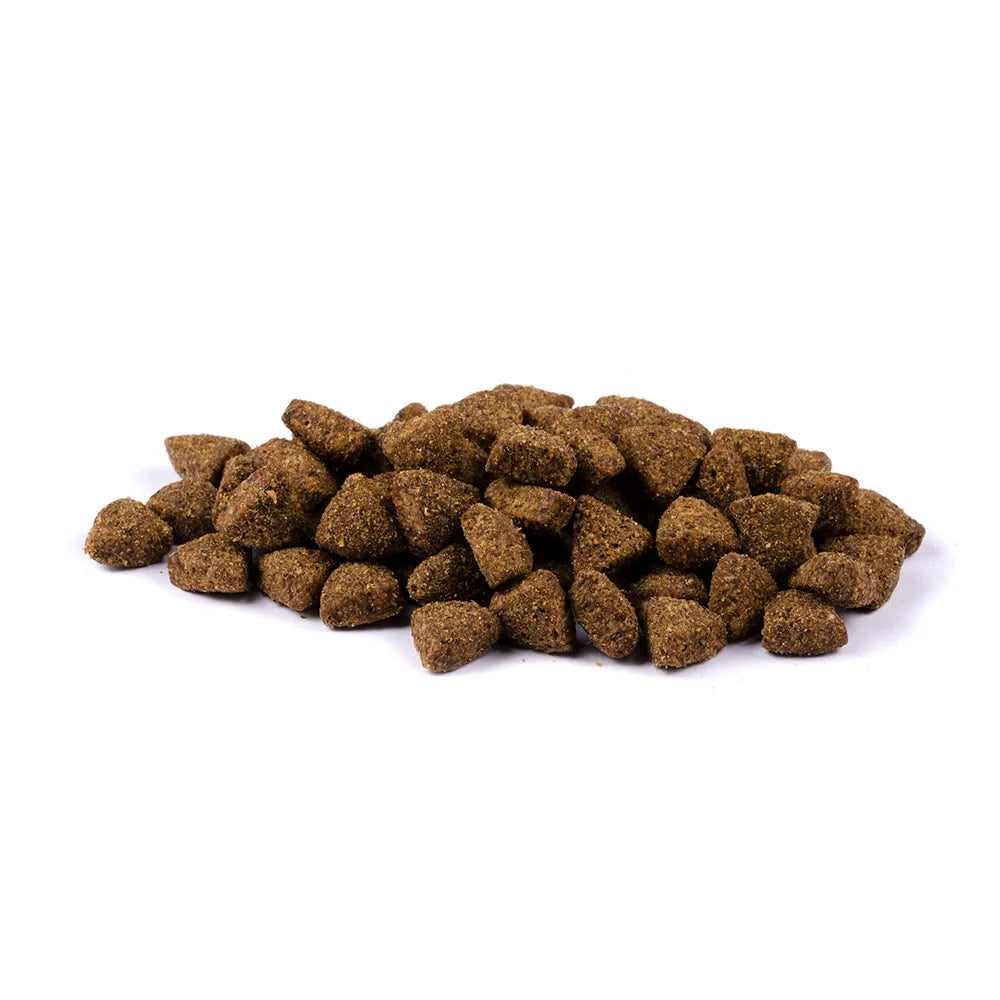 Bild von mehreren Kroketten des Produktes: Brit Fresh Premium Trockenfutter für ältere übergewichtige Hunde Fit & Slim Senior - Turkey with Peas Truthahn und Erbsen