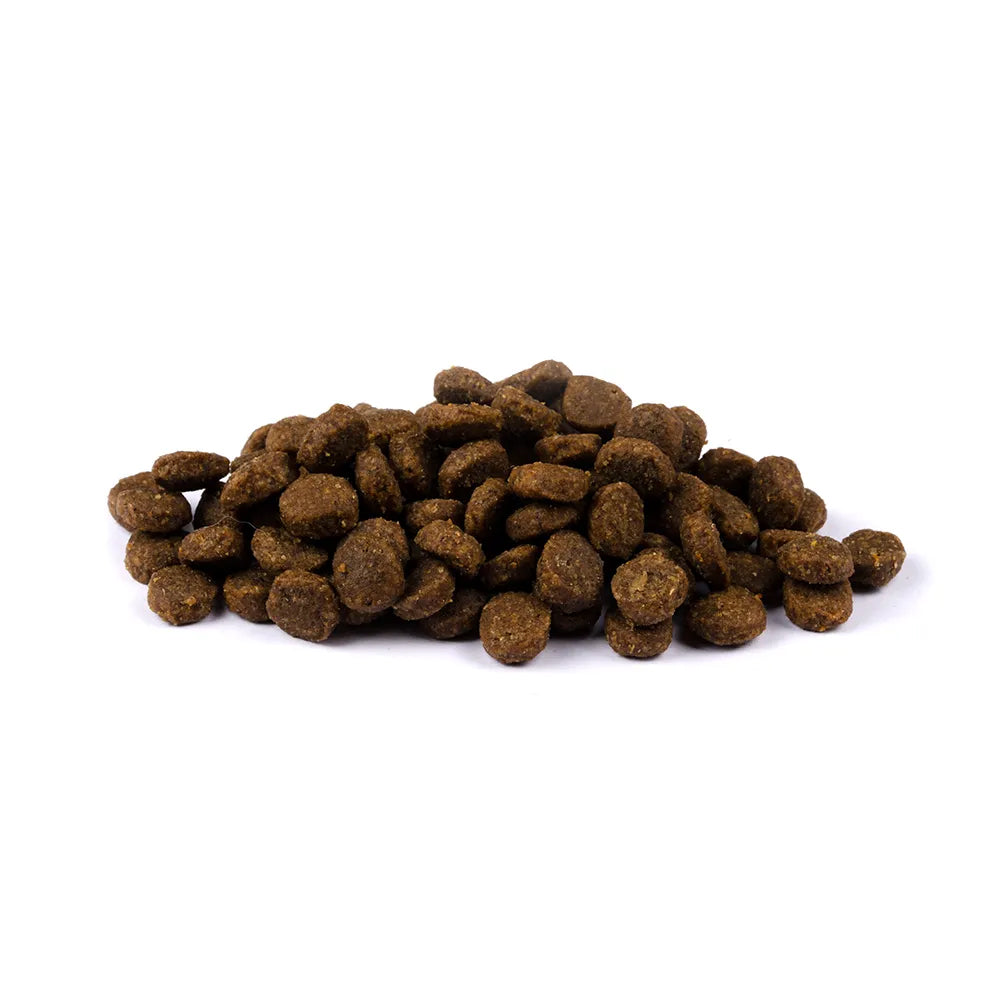 Bild von mehreren Kroketten des Produktes: Brit Fresh Brit Fresh Premium Trockenfutter für Welpen und Junghunde Healthy Growth Puppy - Chicken with Potato Huhn und Kartoffel
