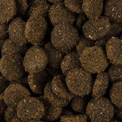 Vorschaubild von Trockenfutter - Welpe und Junior große Rassen - Rind