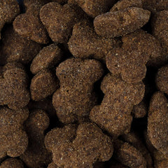 Vorschaubild von Crunchy Snack - Insekt mit Lamm und Himbeeren