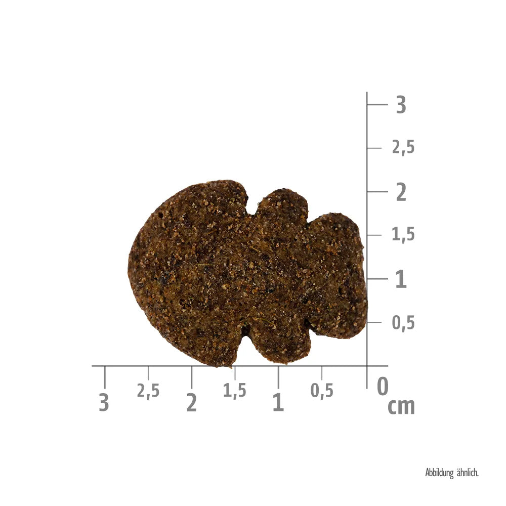 Bild von der Größe der Snacks des Produktes: Brit Hund Premium Crunchy Snacks Insects Insekten Salmon with Thyme Lachs mit Thymian