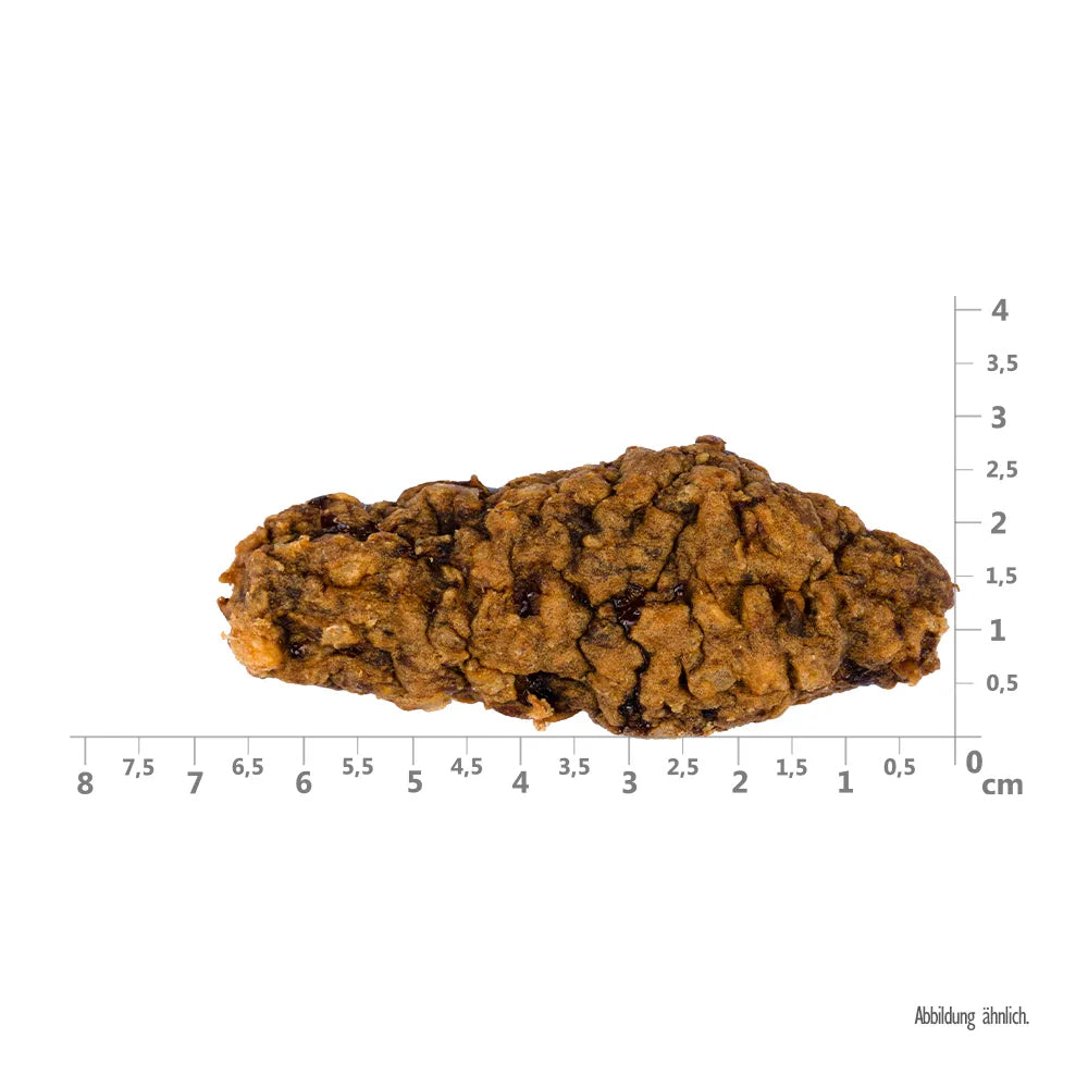Bild von der Größe vom Snack des Produktes: Brit Hund Premium Meaty Jerky Snack Luftgetrocknete Fleischfilets Beef Rind