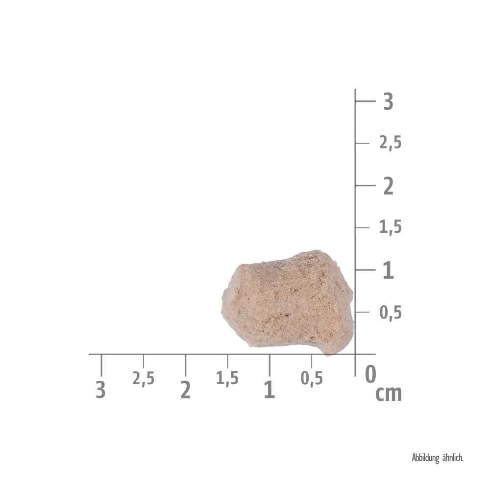 Bild von der Größe vom Snack des Produktes: Brit Hund Premium Raw Treat Gefriergetrockneter Snack Digestion Chicken Probiotics Verdauung Huhn Probiotika