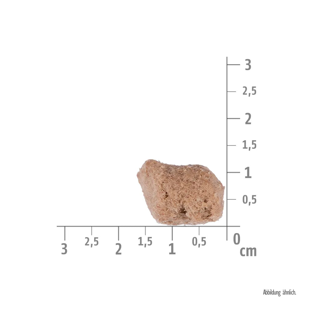 Bild von der Größe vom Snack des Produktes: Brit Hund Premium Raw Treat Gefriergetrockneter Snack Urinary Turkey Probiotics Harngesundheit Truthahn Probiotika