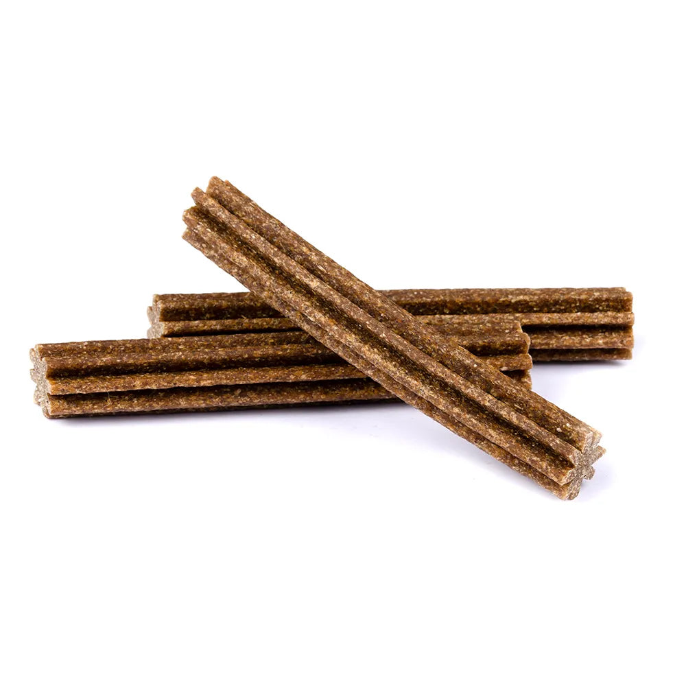 Bild von mehreren Snacks des Produktes: Brit Hund Premium Dental Stick Snacks Zahnpflege Immuno Probiotics Cinnamon Immunität Zimt und Probiotika