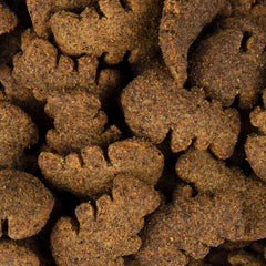 Vorschaubild von Crunchy Snack - Lachs mit Blaubeeren