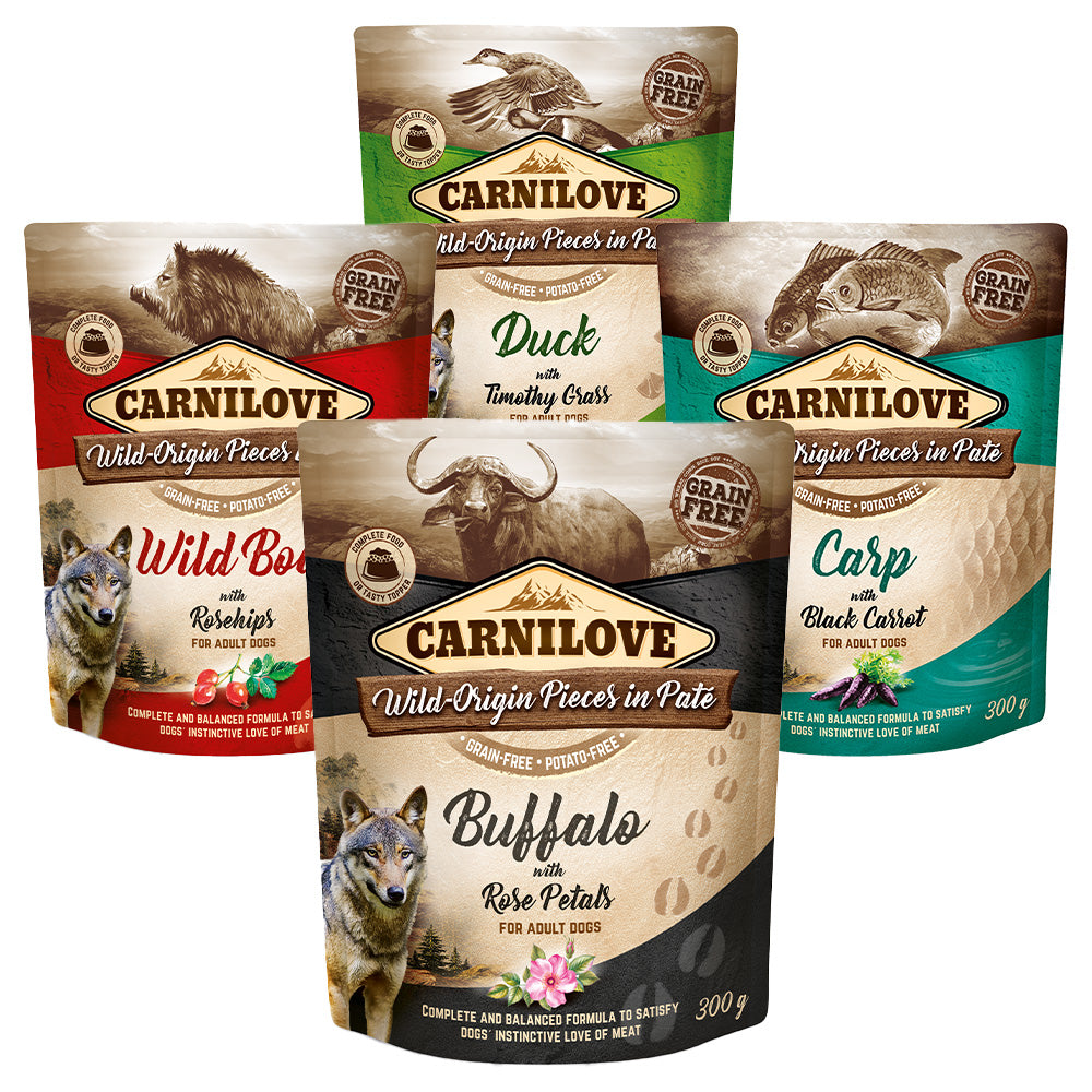 Carnilove Hund Premium Nassfutter Pouch Adult Probierpaket Wild and Free 4x300g