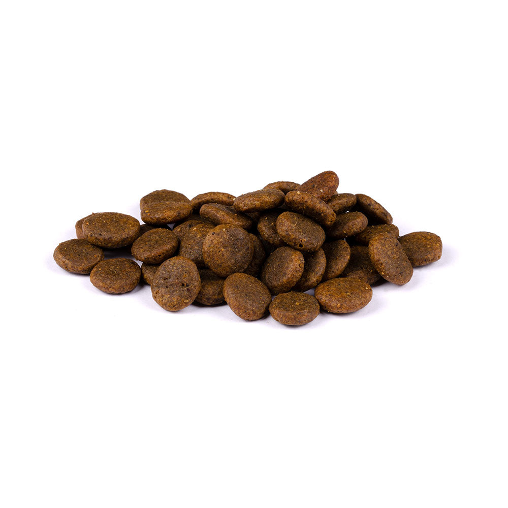 Bild von mehreren Kroketten des Produktes: Carnilove Premium Trockenfutter Fresh für adulte Hunde Carp Trout Karpfen Forelle