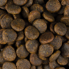 Vorschaubild von Trockenfutter - Adult - Karpfen und Forelle