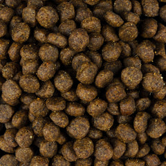 Vorschaubild von Trockenfutter - Adult kleine Rassen - Strauß und Lamm