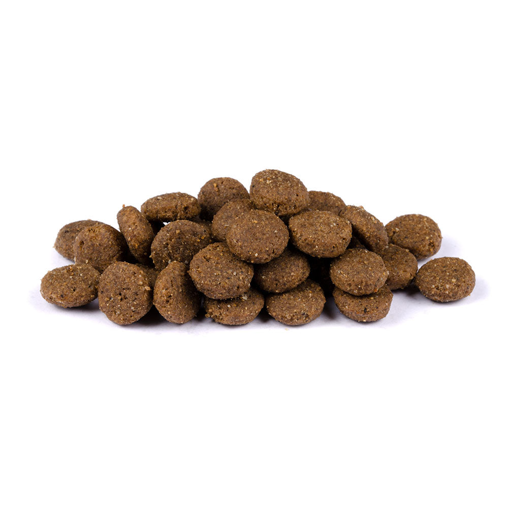 Bild von mehreren Kroketten des Produktes: Carnilove Premium Trockenfutter für adulte Hunde Reindeer Rentier