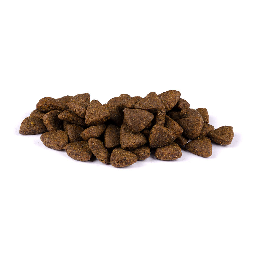 Bild von mehreren Kroketten des Produktes: Carnilove Premium Trockenfutter für adulte Hunde Salmon Lachs