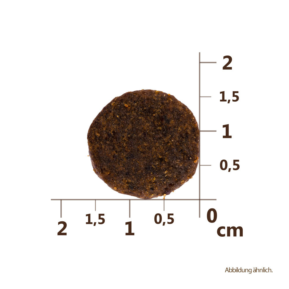 Bild von der Größe der Krokette des Produktes: Carnilove Premium Trockenfutter für adulte Hunde großer Rassen Salmon and Turkey Lachs und Truthahn