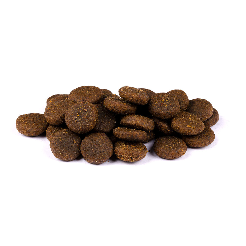 Bild von mehreren Kroketten des Produktes: Carnilove Premium Trockenfutter für adulte Hunde großer Rassen Salmon and Turkey Lachs und Truthahn