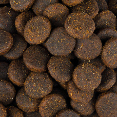 Vorschaubild von Trockenfutter - Adult große Rassen - Lachs und Truthahn