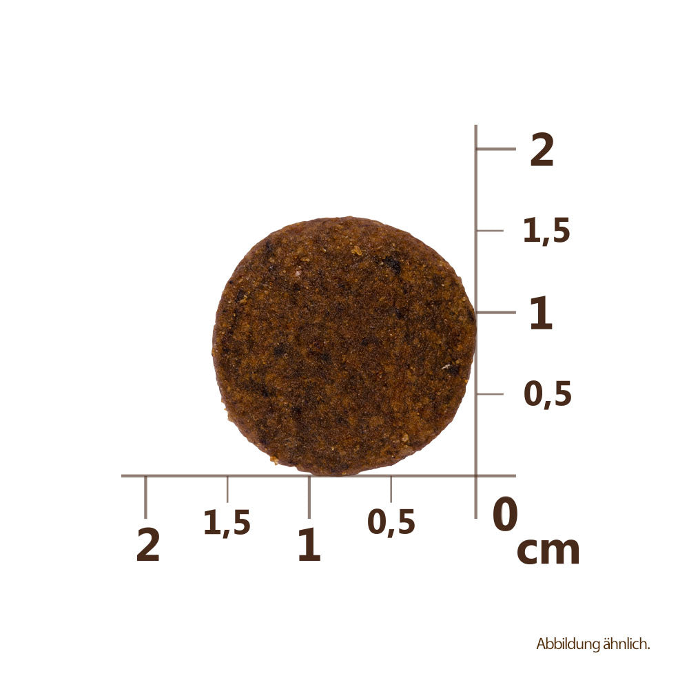 Bild von der Größe der Krokette des Produktes: Carnilove Premium Trockenfutter für Welpen und Junghunde großer Rassen Salmon and Turkey Lachs und Truthahn