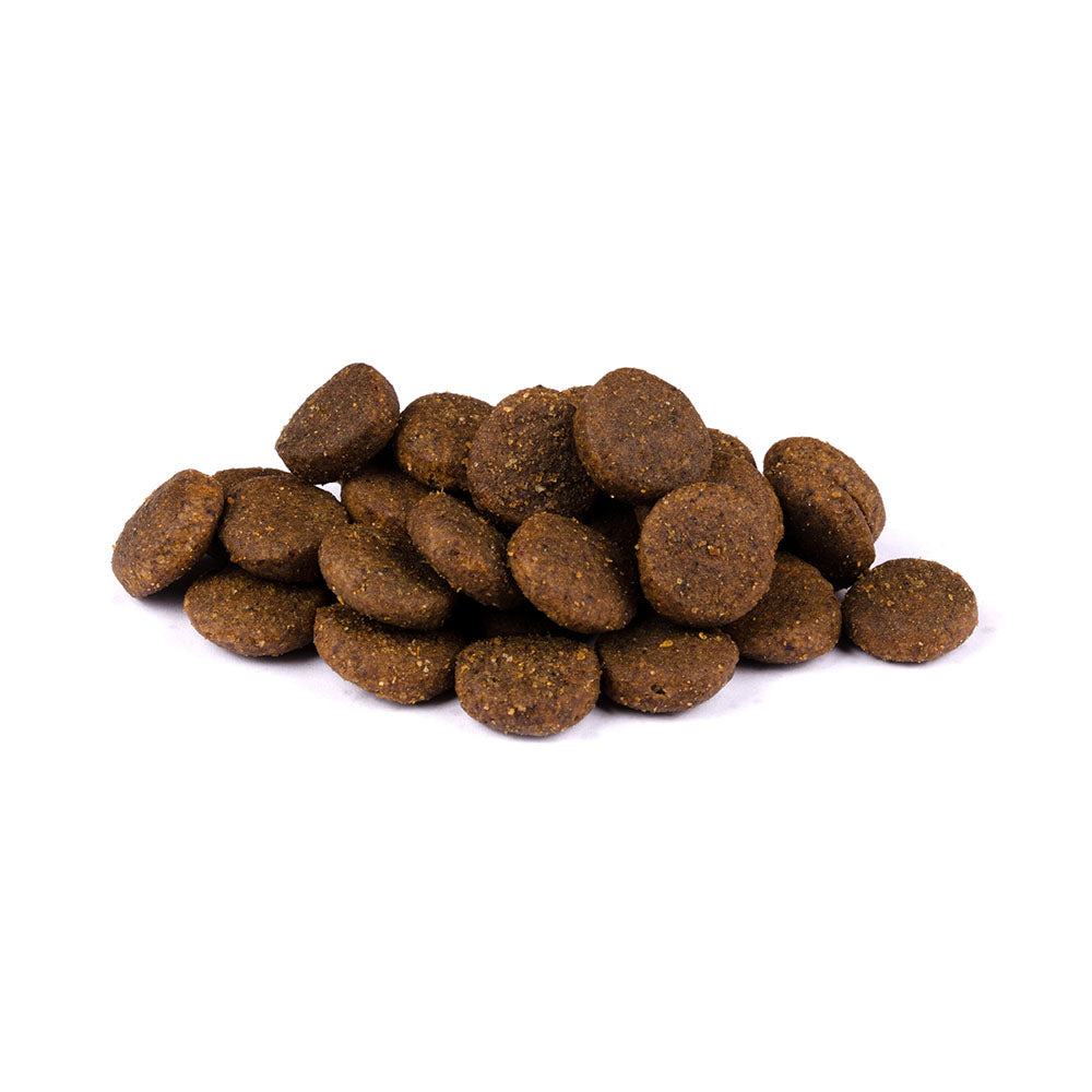 Bild von mehreren Kroketten des Produktes: Carnilove Premium Trockenfutter für Welpen und Junghunde großer Rassen Salmon and Turkey Lachs und Truthahn