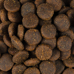 Vorschaubild von Trockenfutter - Welpen und Junior große Rassen - Lachs und Truthahn