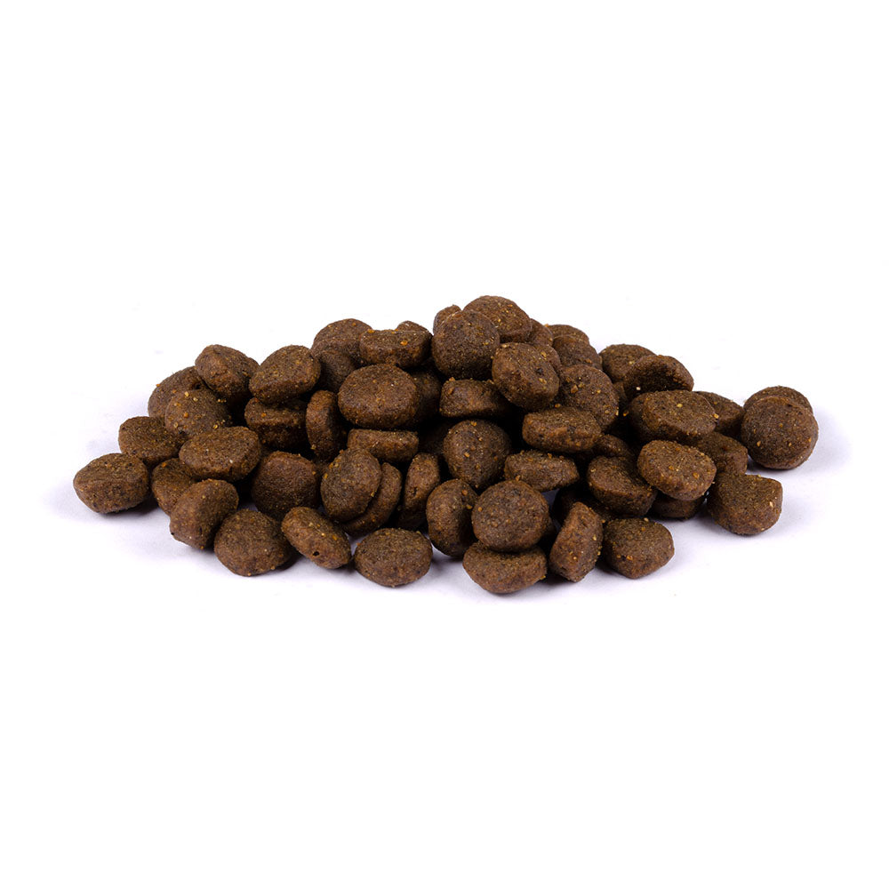 Bild von mehreren Kroketten des Produktes: Carnilove Premium Trockenfutter für Welpen und Junghunde Salmon and Turkey Lachs und Truthahn