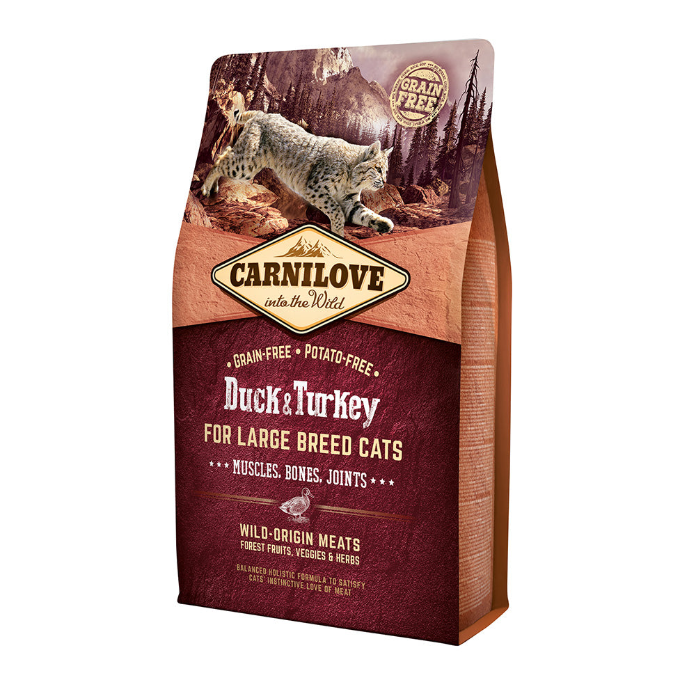 Bild vom Produkt: Carnilove Premium Trockenfutter für adulte Katzen großer Rassen Duck Turkey Large Breed Cats Ente Truthahn 2kg