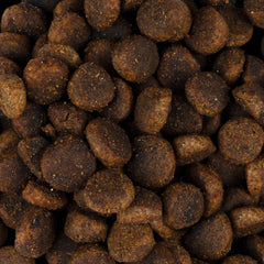 Vorschaubild von Trockenfutter - Adult große Rassen - Ente und Truthahn