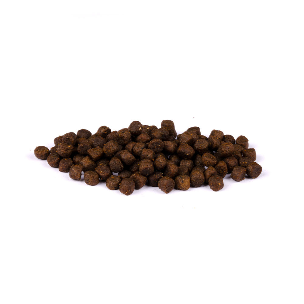 Bild von mehreren Kroketten des Produktes: Carnilove Premium Trockenfutter für Katzenkinder Katzenbabys Salmon Turkey Kitten Lachs Truthahn