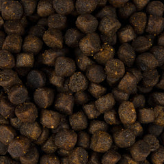 Vorschaubild von Trockenfutter - Kitten - Lachs und Truthahn