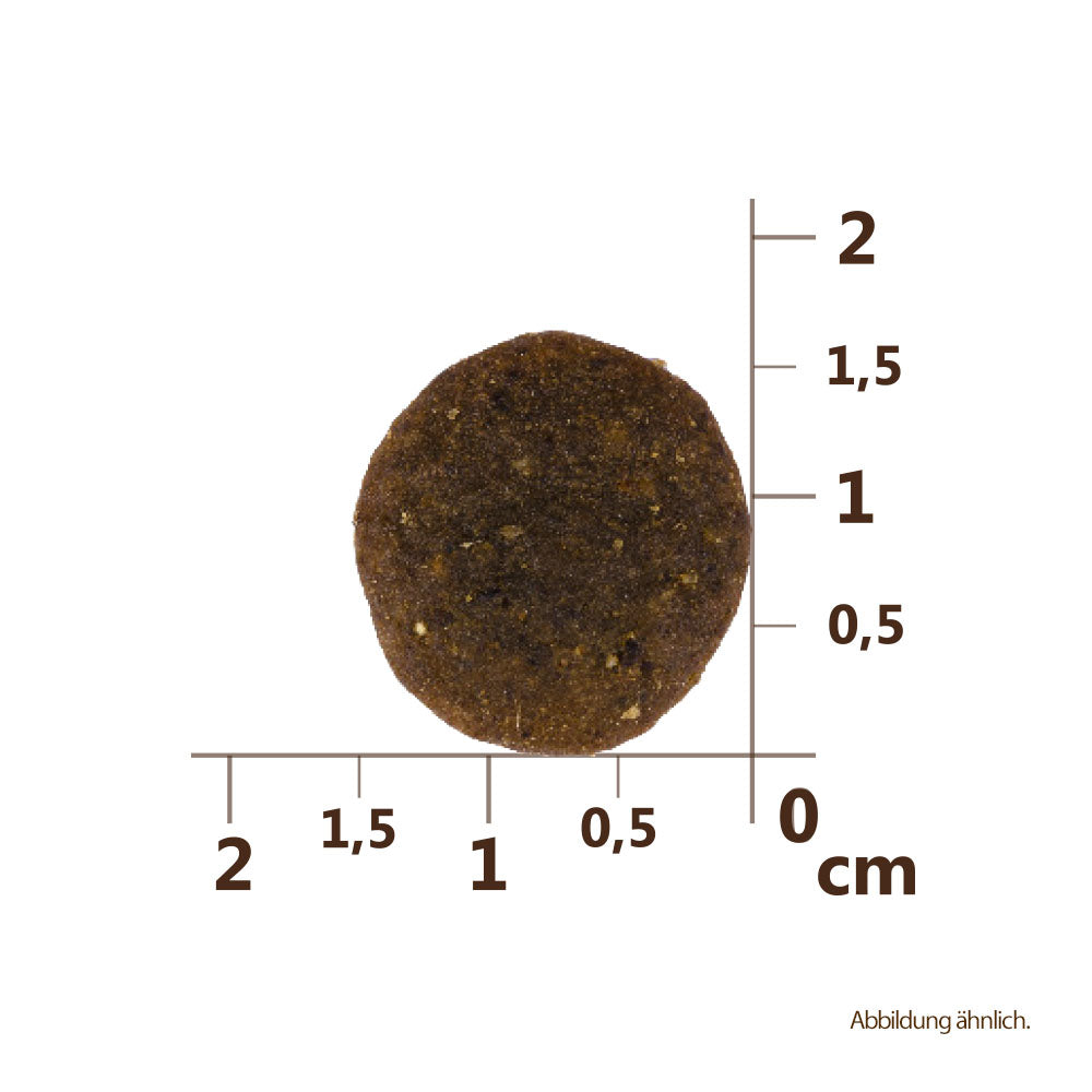Bild von der Größe der Krokette des Produktes: Carnilove True Fresh Premium Trockenfutter für Adulte Hunde Fresh Beef Frisches Rind