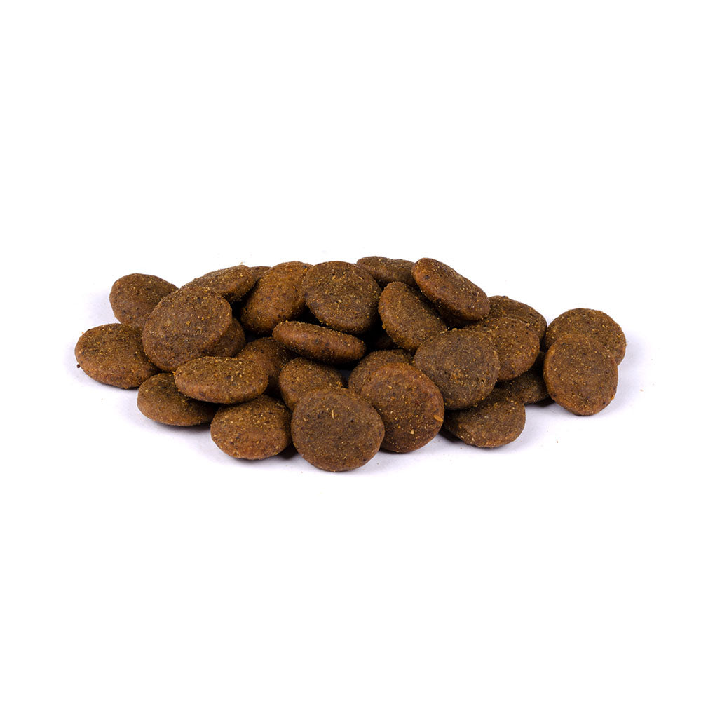 Bild von mehreren Kroketten des Produktes: Carnilove True Fresh Premium Trockenfutter für Adulte Hunde Fresh Beef Frisches Rind