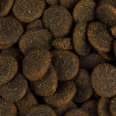 Vorschaubild von Trockenfutter Monoprotein - Adult große Rassen - Ente