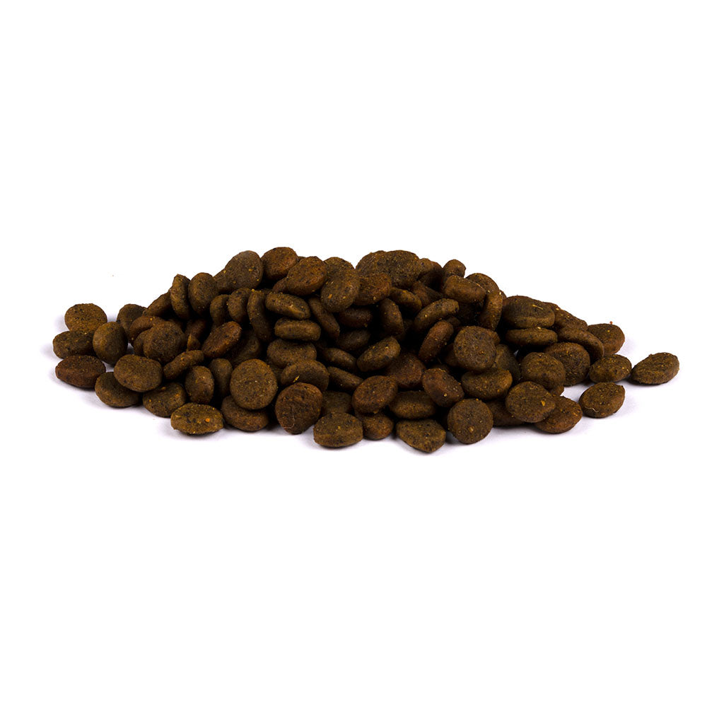 Bild von mehreren Kroketten des Produktes: Carnilove True Fresh Premium Trockenfutter für Adulte Hunde kleiner Rassen Fresh Fish Small Breed Frischer Fisch