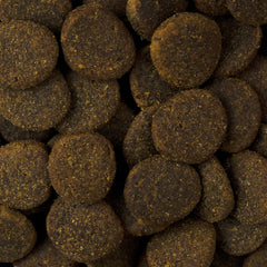 Vorschaubild von Trockenfutter Monoprotein - Junior große Rassen - Huhn