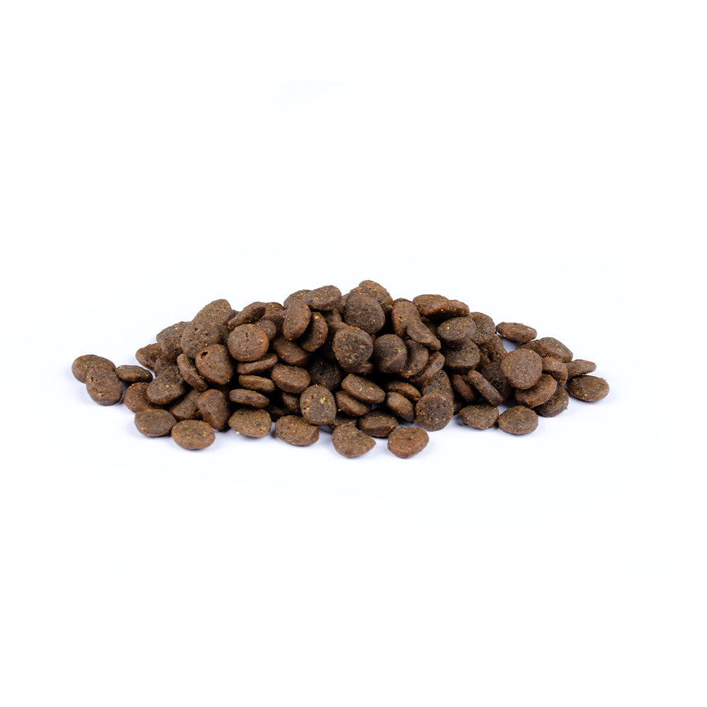 Bild von mehreren Kroketten des Produktes: Carnilove True Fresh Premium Trockenfutter für Welpen Junghunde Fresh Turkey Puppy Frischer Truthahn