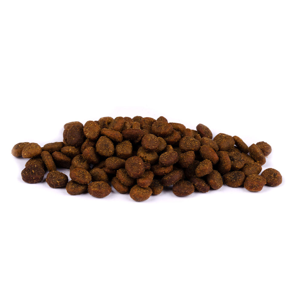 Bild von mehreren Kroketten des Produktes: Carnilove True Fresh Premium Trockenfutter für adulte Katzen Fresh Fish Frischer Fisch