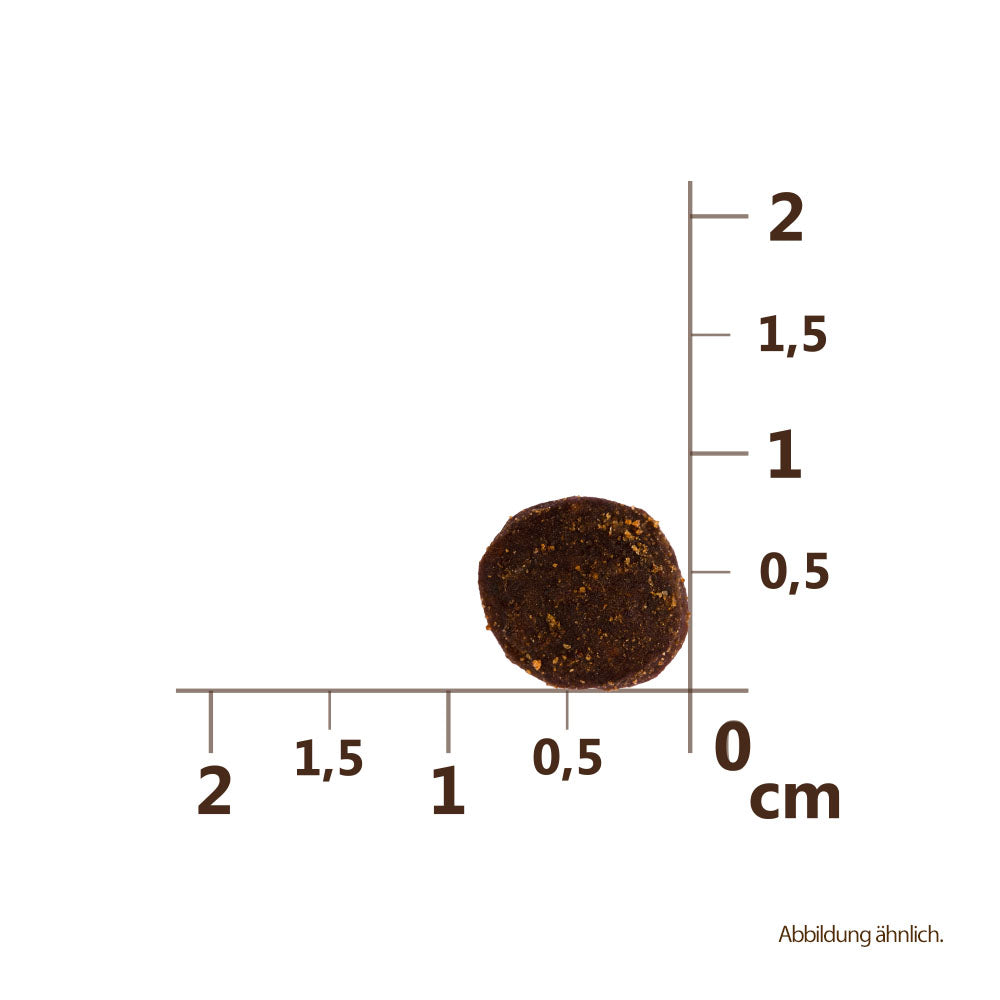 Bild von der Größe der Krokette des Produktes: Carnilove True Fresh Premium Trockenfutter für adulte Katzen Fresh Turkey Frischer Truthahn
