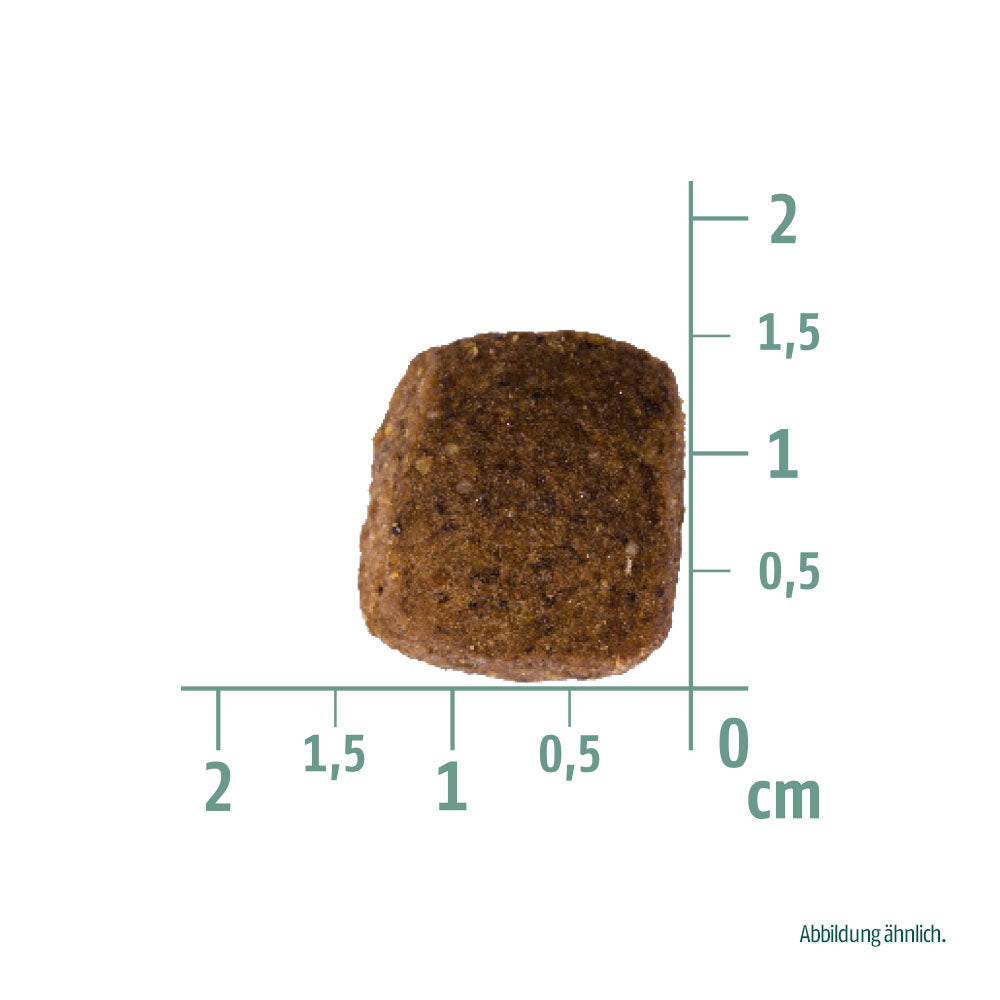 Bild von der Größe der Krokette des Produktes: Christopherus Hund Trockenfutter Senior älterer Hund